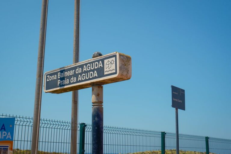 Auditoria da Preguiça